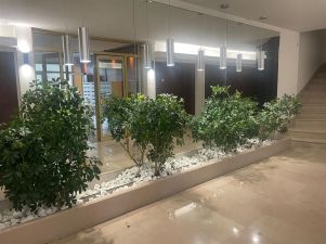appartement 4 pièces en vente sur PARIS (75004)