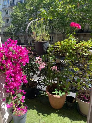 appartement 4 pièces en vente sur PARIS (75018)